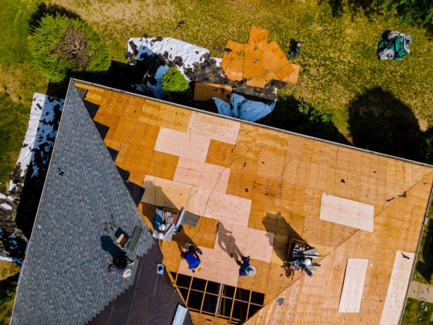 Best Emergency Roof Repair  in Dahlgren, VA