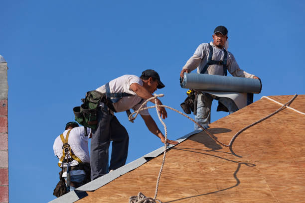 Best Commercial Roofing Services  in Dahlgren, VA